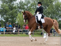 DSC_1986_web